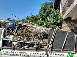 Best Hoarding Cleanup  in Knox, IN